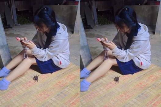 Đêm qua ghé nhà bạn chơi nhưng chỉ nghe thấy rên rỉ